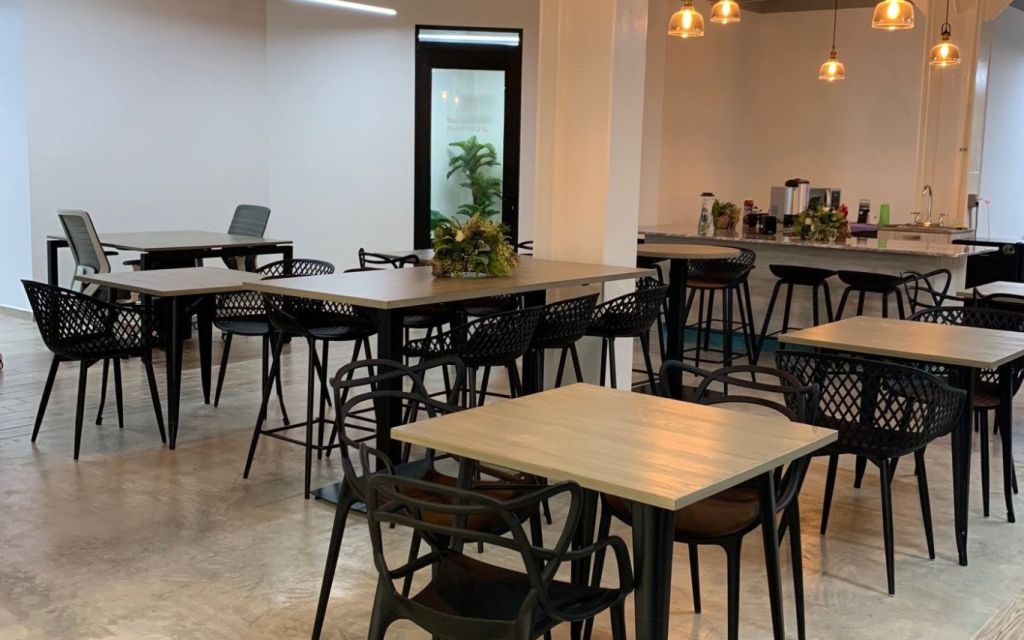 Paseo Lomas de Rosales 203, Piso 1, Colonia Lomas Rosales, 89100